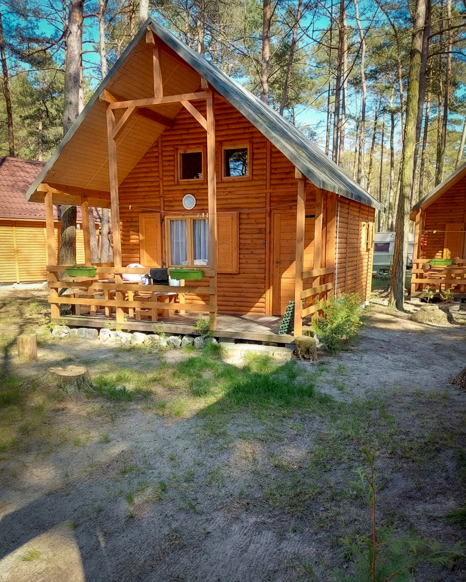 Odetchnij w cieniu sosen